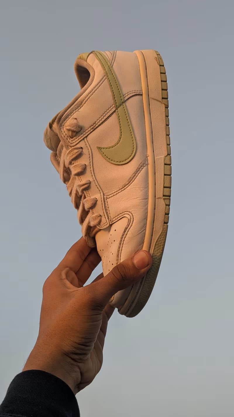 Nike Dunk Low HoneyDrew